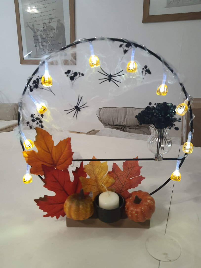 Famille d'araignées